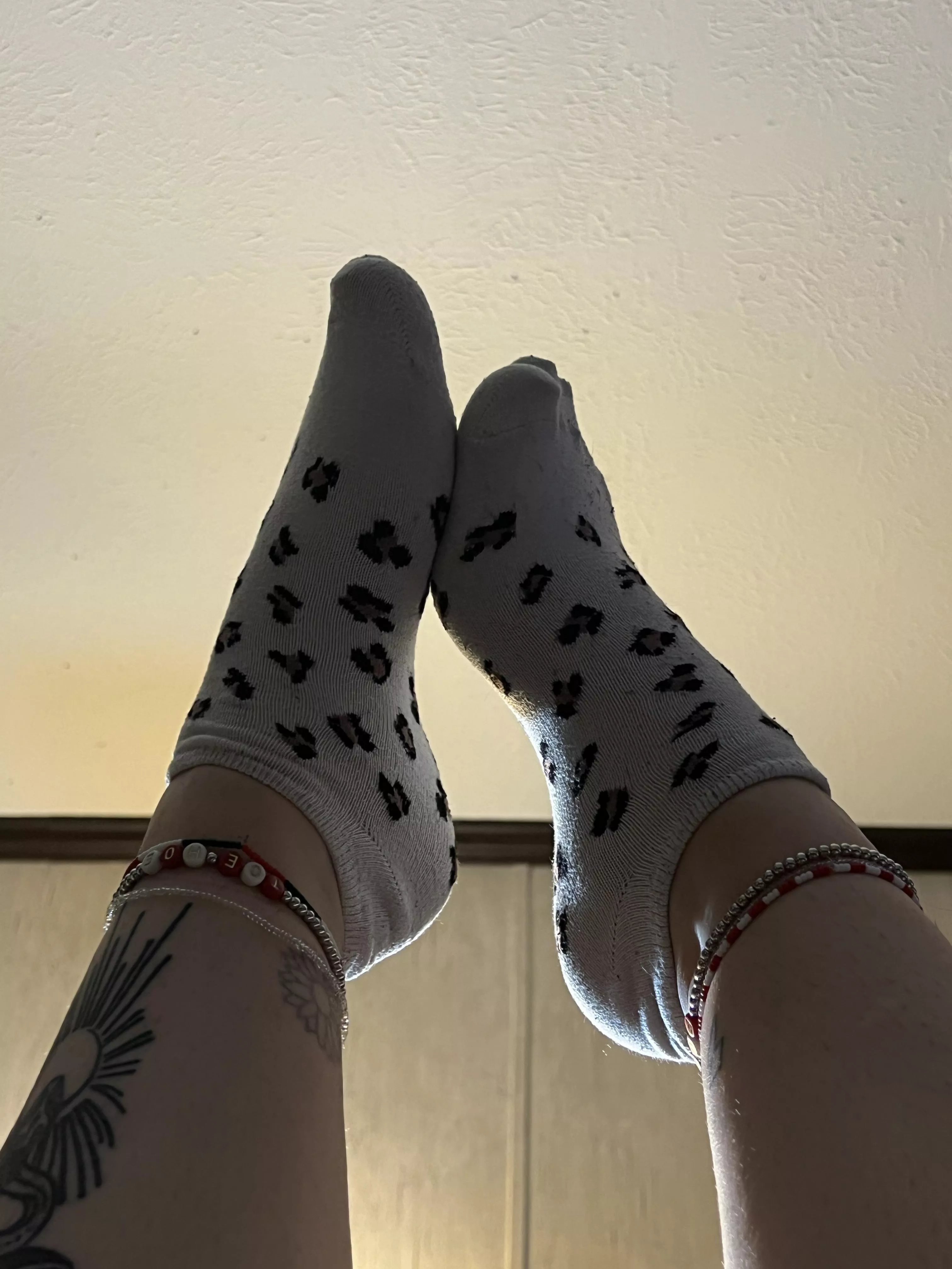 Day 1 of 5 for these bad boys🥵 posted by Ill_Establishment688