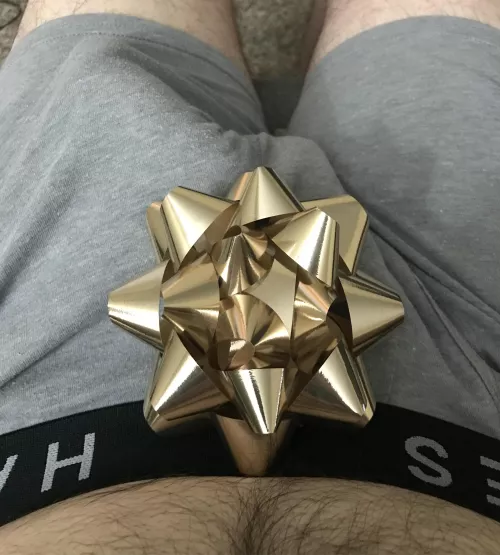 Got you a dickmas present by travelers_insurance