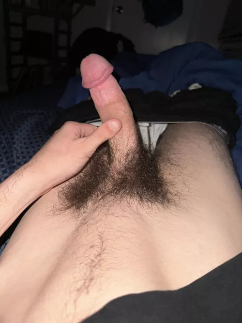 I think my bush is coming in pretty nice. by No_Time1159