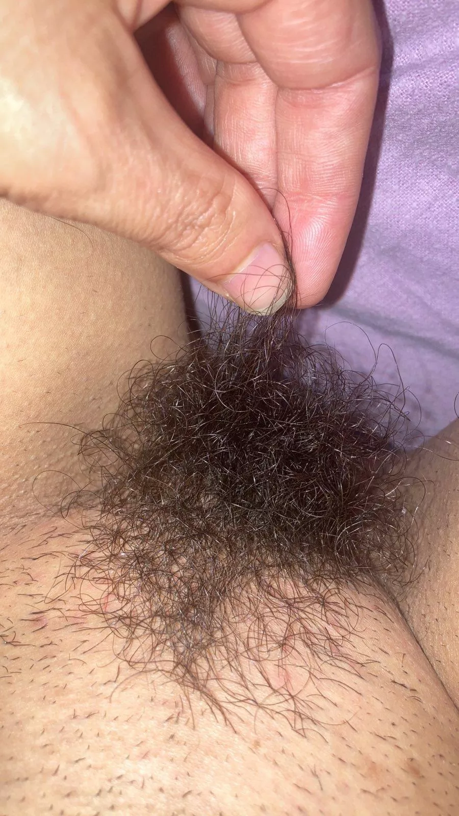 I totally understand if you can't handle a bush this size posted by lickedyslit