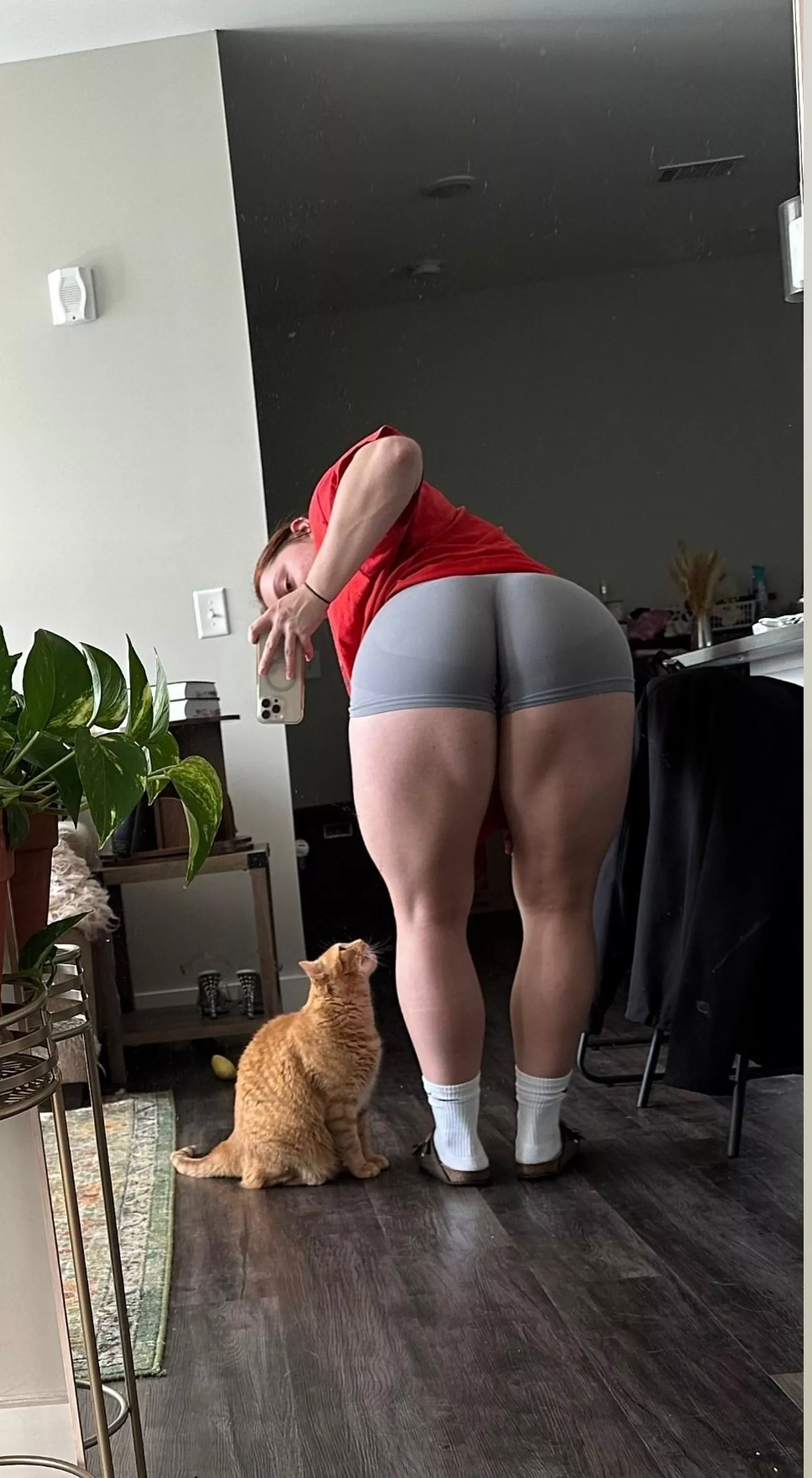 Luv Hammie Checks posted by Macboney440