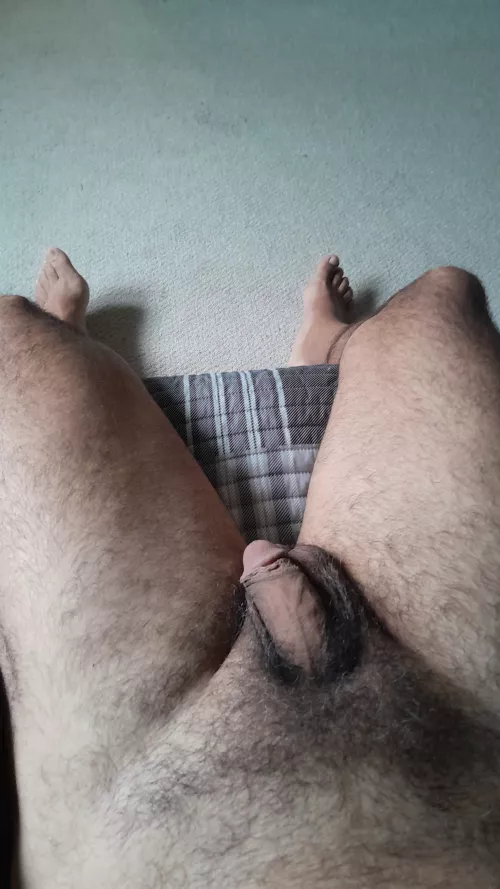 Me and my 50 YO pubes. Does anybody find it sexy? by bearcanmx