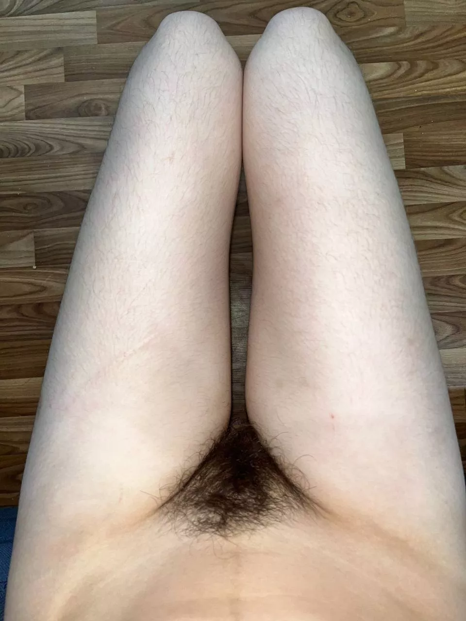 nuggets or fries? [h] posted by hairy_shizo