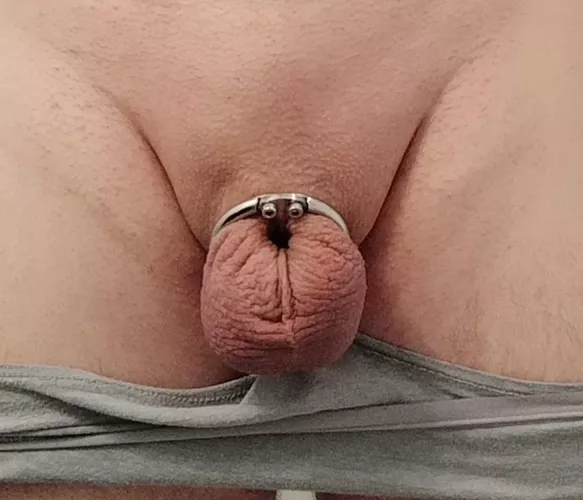 Sunday Chastity by slave_Josephine