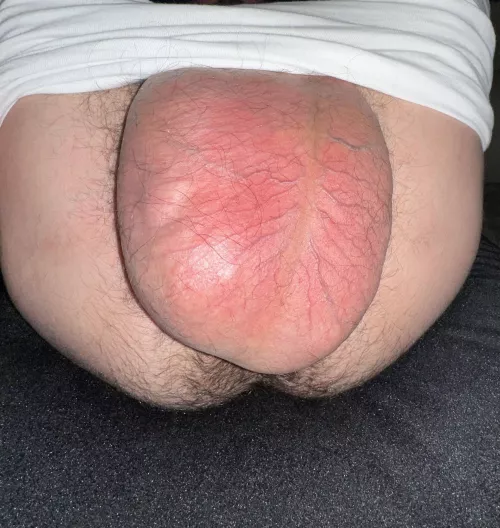 Who’s in Los Angeles? by hugexhuge