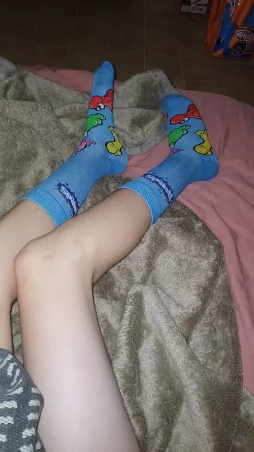 Comfy 😴 by stoogis-neo_5