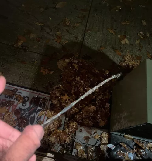 First one was for me, now showing off by [deleted]