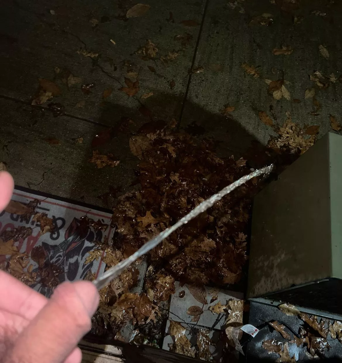 First one was for me, now showing off posted by [deleted]