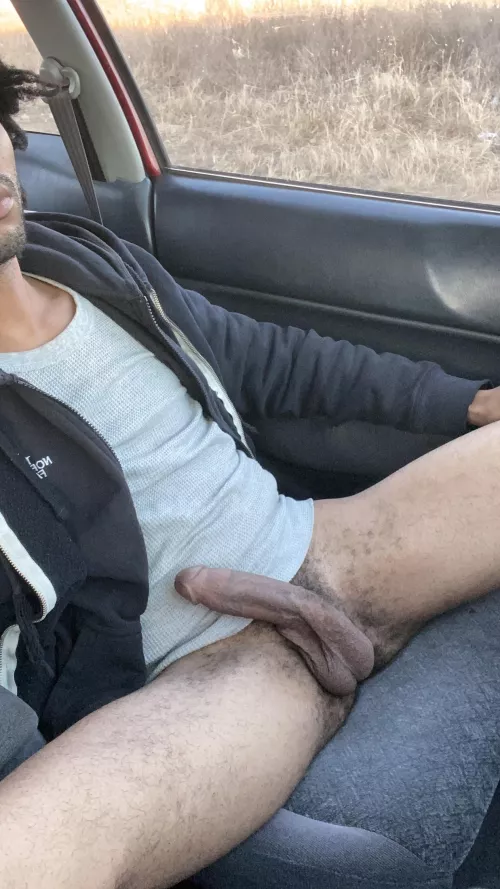 Hop in and run some errands with me by diki_six