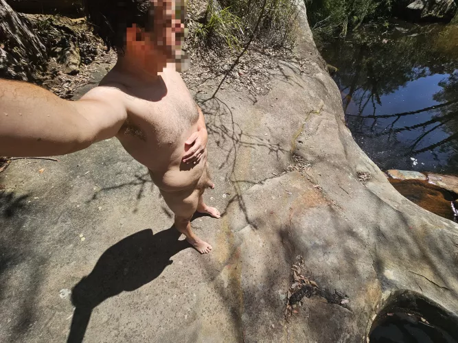 I went into the woods by nnthrowaway92828