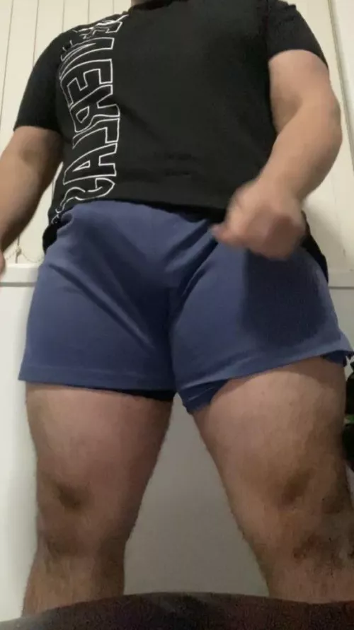 If I was an animal, what animal would I be? by asilentmicrowave