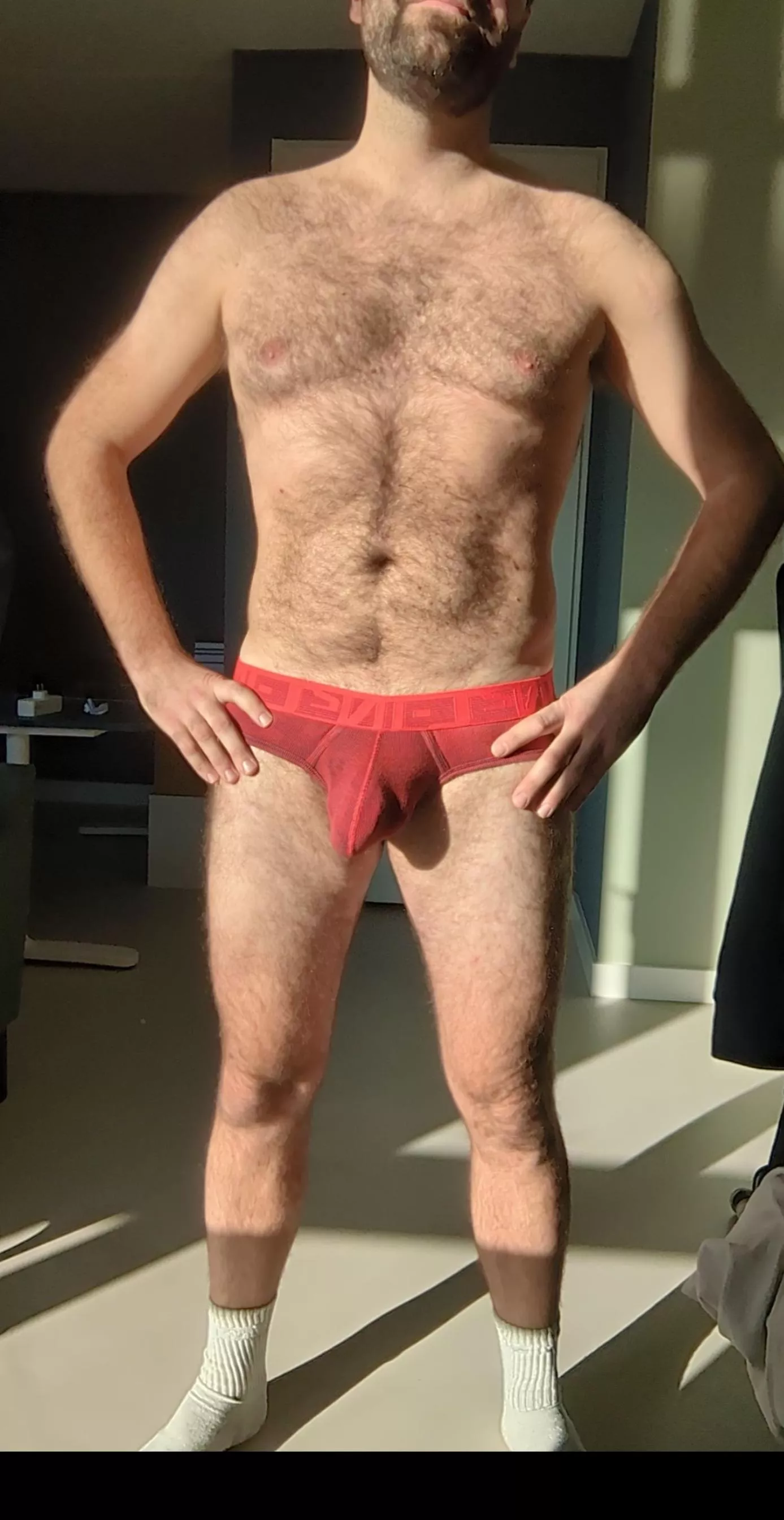 Just love to wear briefs posted by hungotter