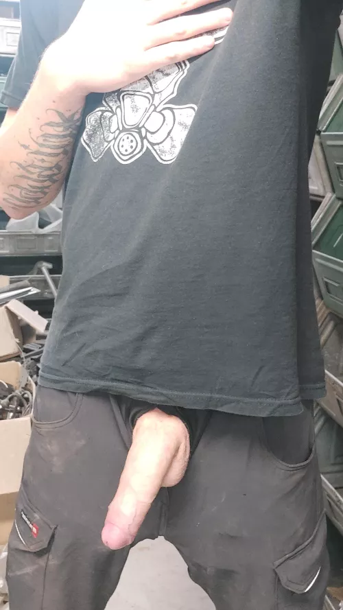 lunch break pics by Legref