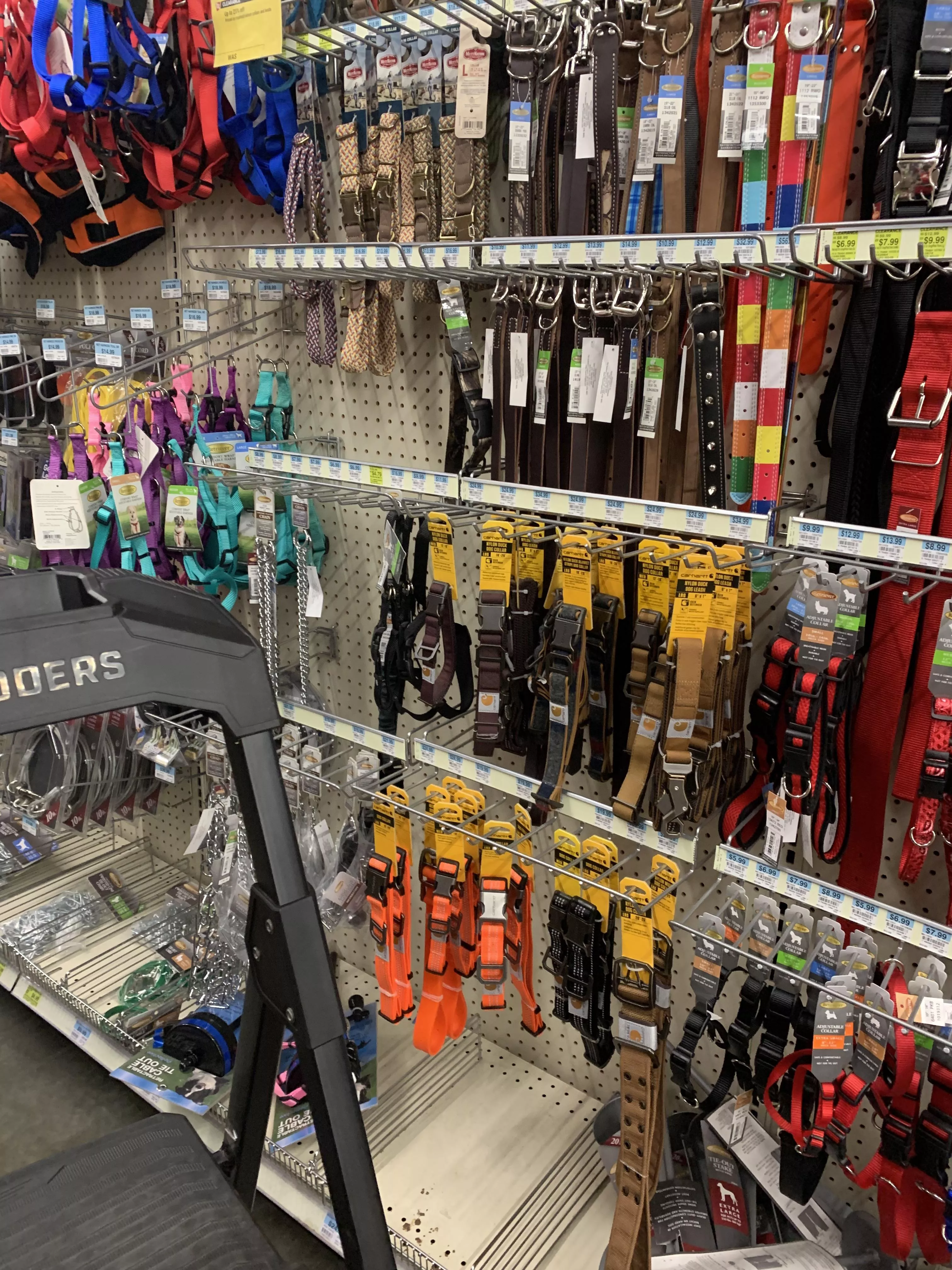 Ohh, the problem with working at Tractor Supply—so many cute collars posted by Useful_Cress3065