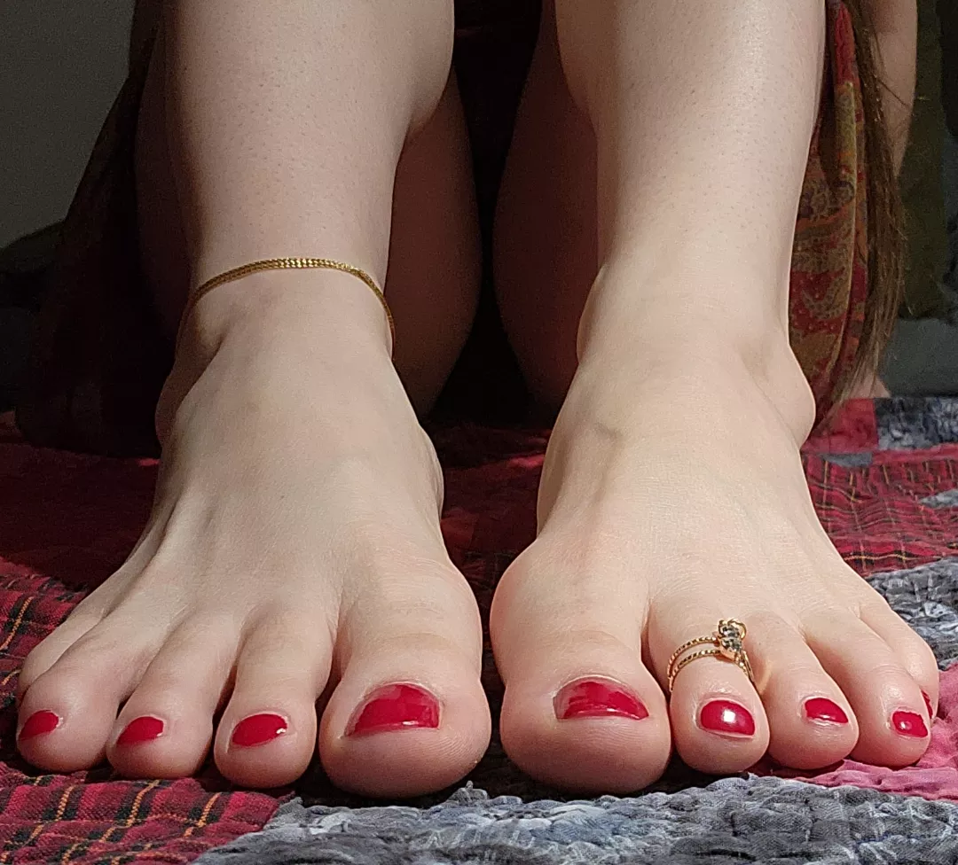 Paws for the cause ❤️ posted by ivoryandporcelain