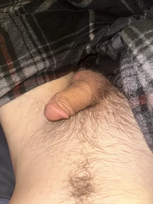 Rate my soft cock by altact99