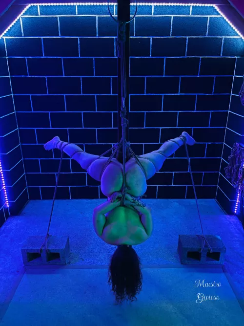 Weighed down by Maestro_Gioioso