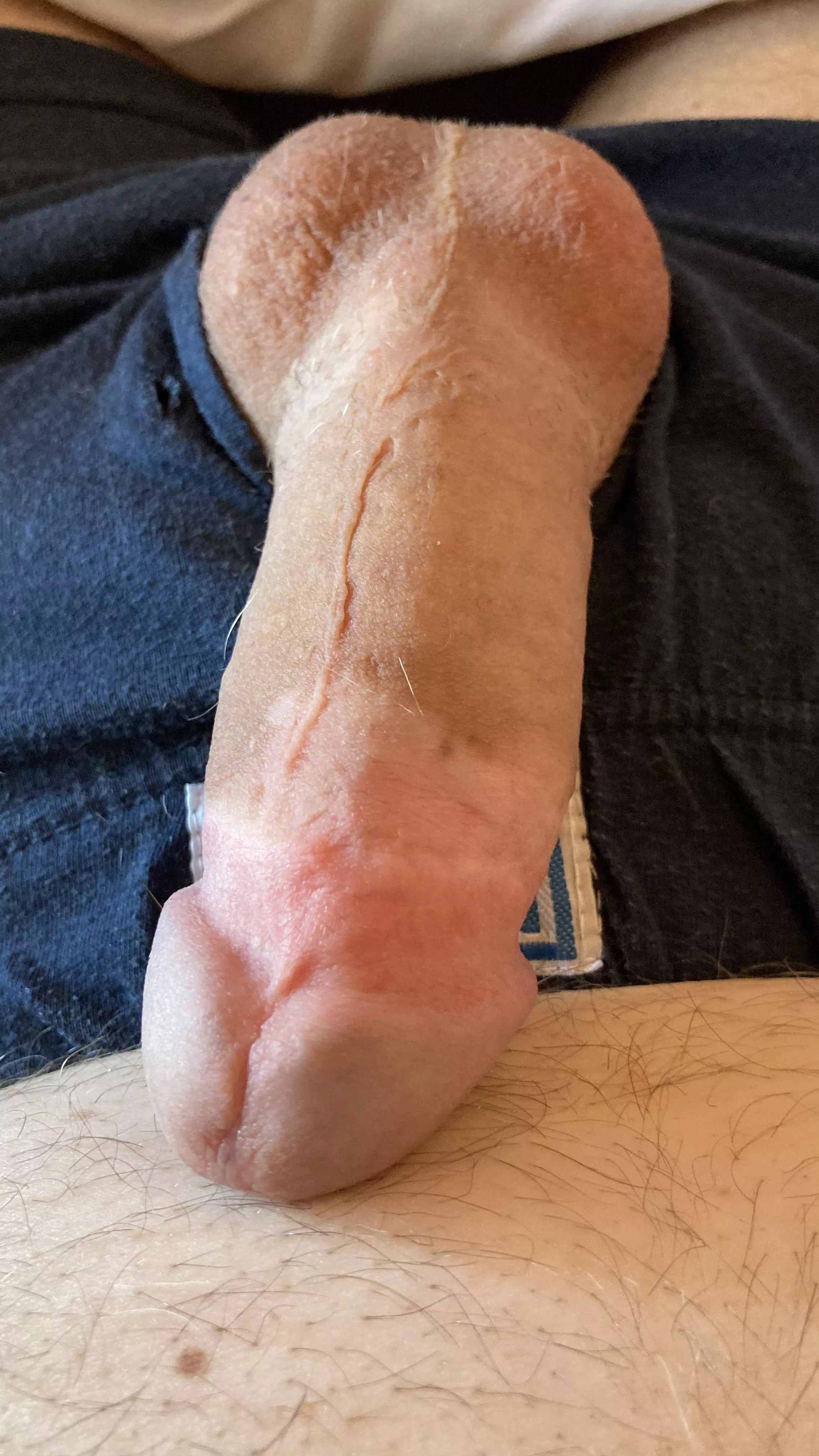 What do you think about my cut European cock? posted by BigcockheadcutG