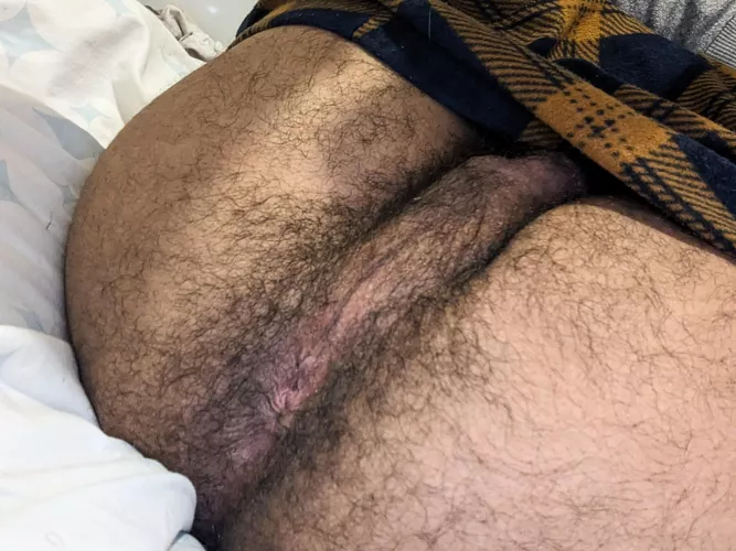 Who wants my 20yo hairy ass ? by ZealousidealJelly372