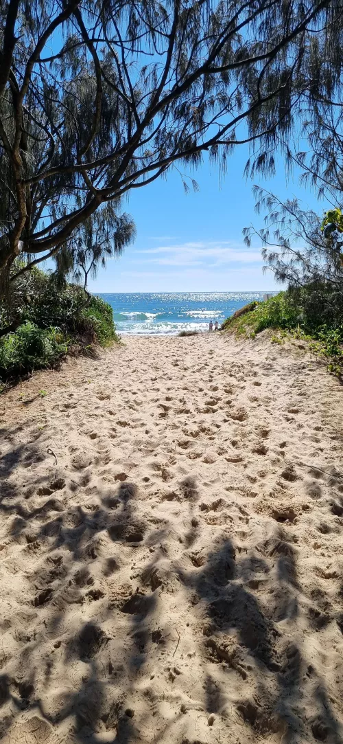 Bokarina by beancounta29