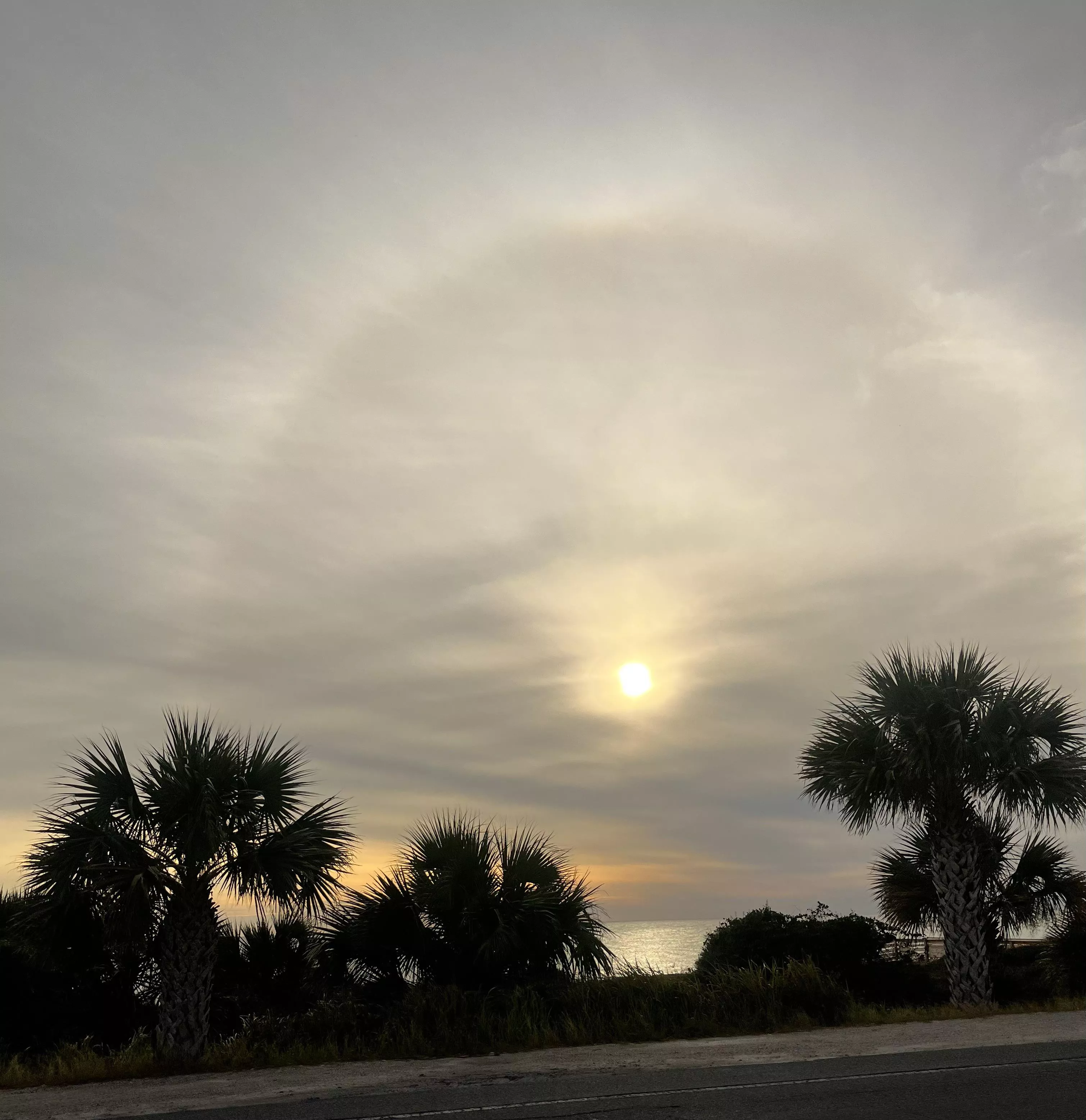 I just love this photo OC posted by anitajoint-420