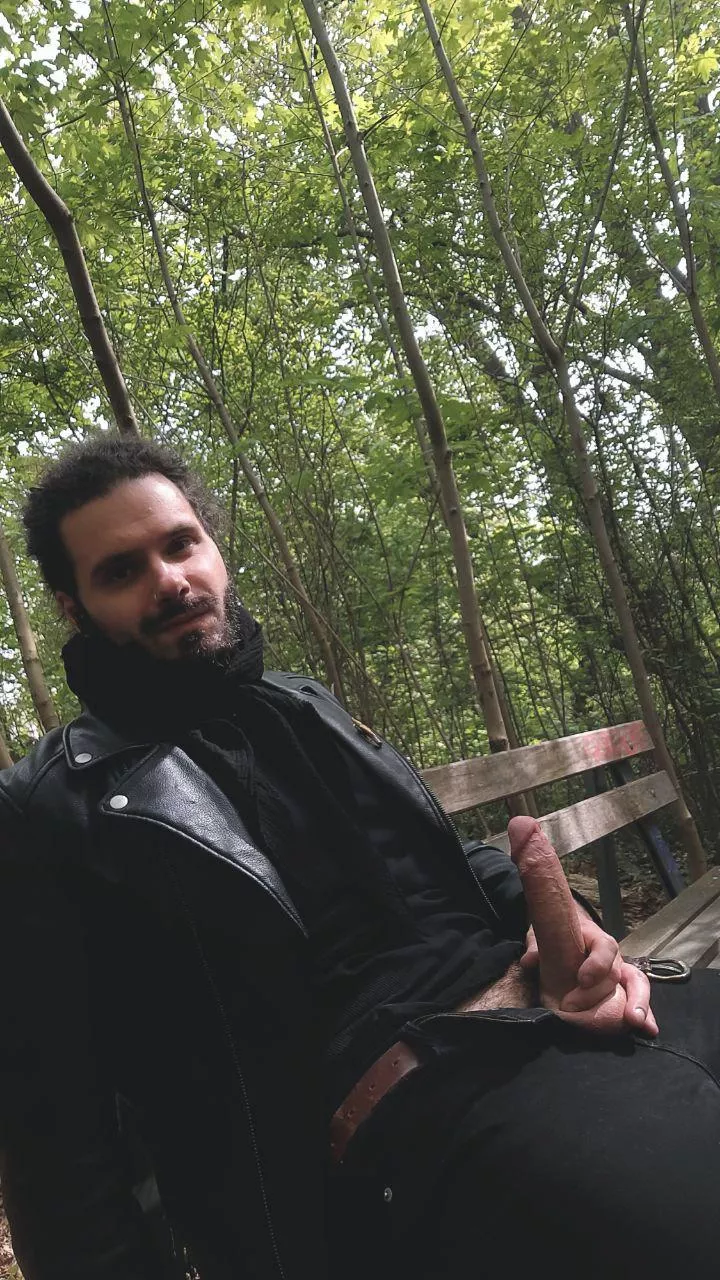 just hanging out in the park, want to take a seat? posted by Satyriosis23