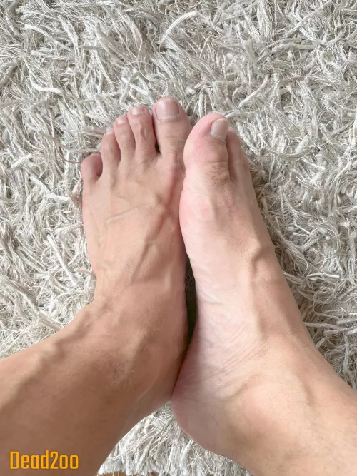 Like them veiny? by Dead2oo