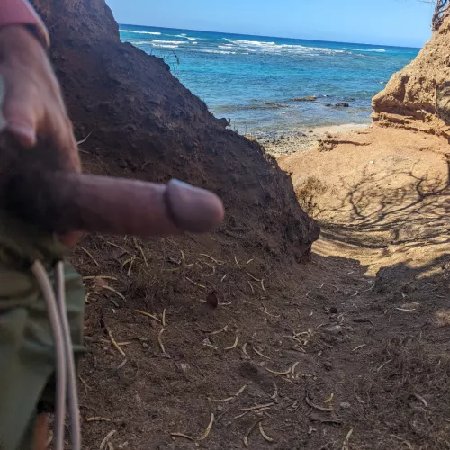 Nearly caught by bibibliophile