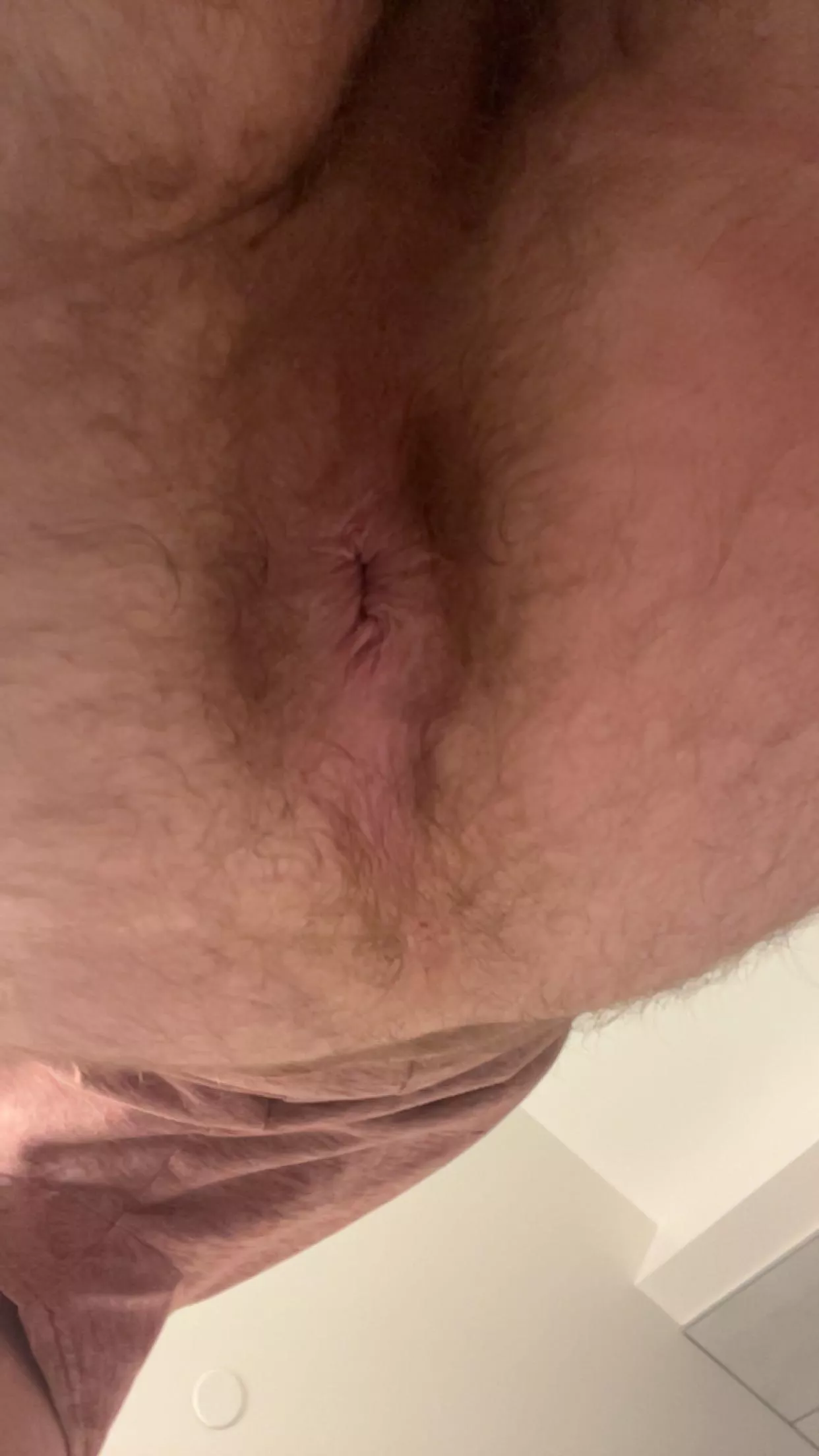 Post leg day ass posted by Salty_Constant9879