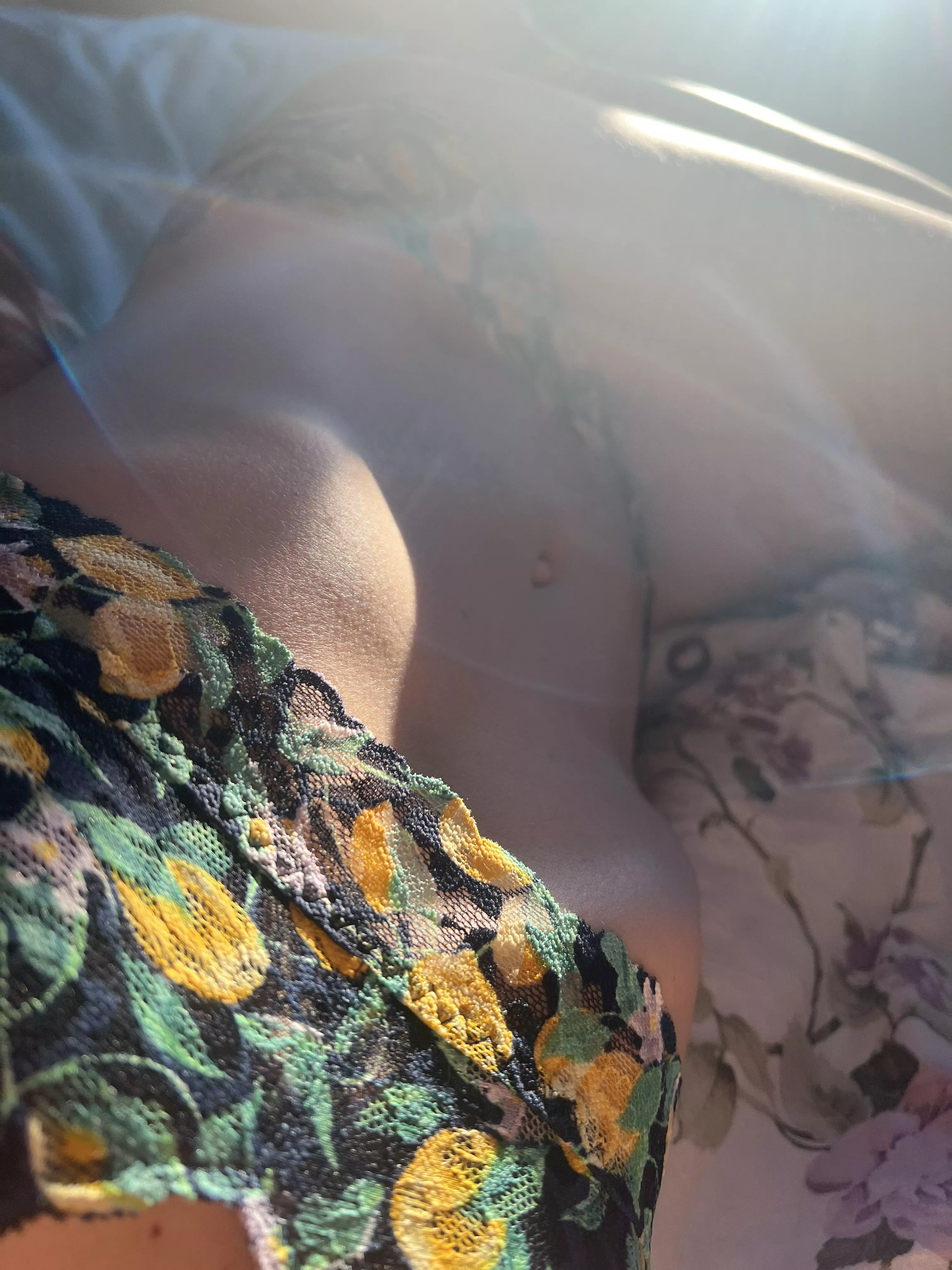 Sunny posted by mysteriouskittycat