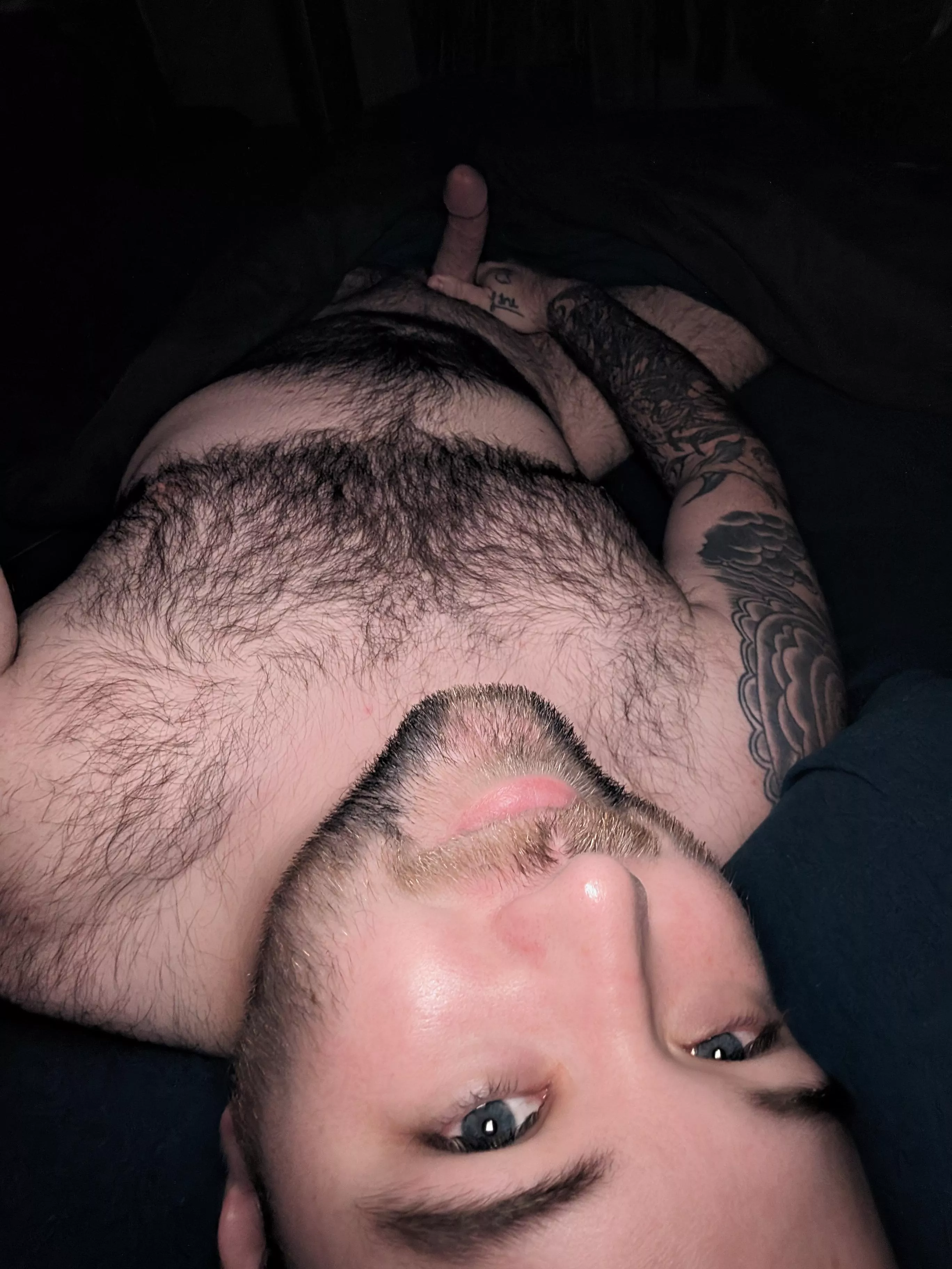 Trimmed my beard much shorter! Still suitable for a face ride? posted by SourBrapple