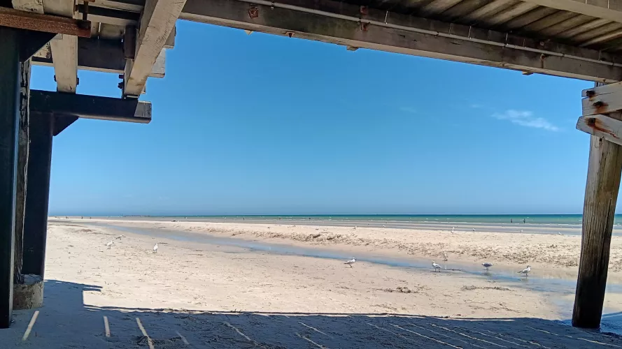 Under the jetty. You'd probably call it a pier! by UnderstandingAny7548