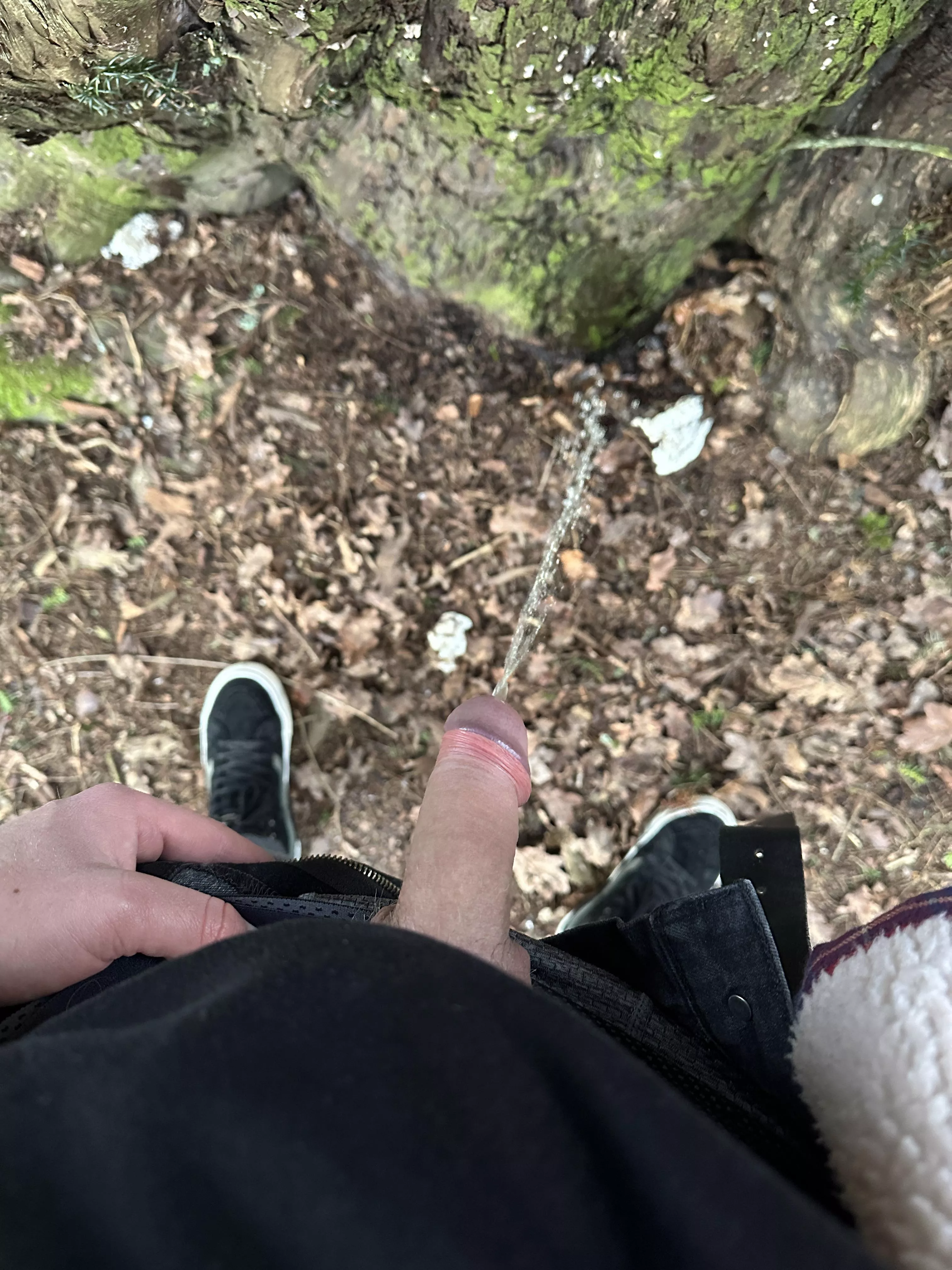 behind a tree posted by redlettuceknife