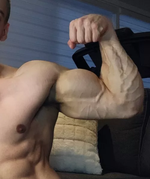 Bicep or Forearm 💪🏼😏..? by John_fitness91