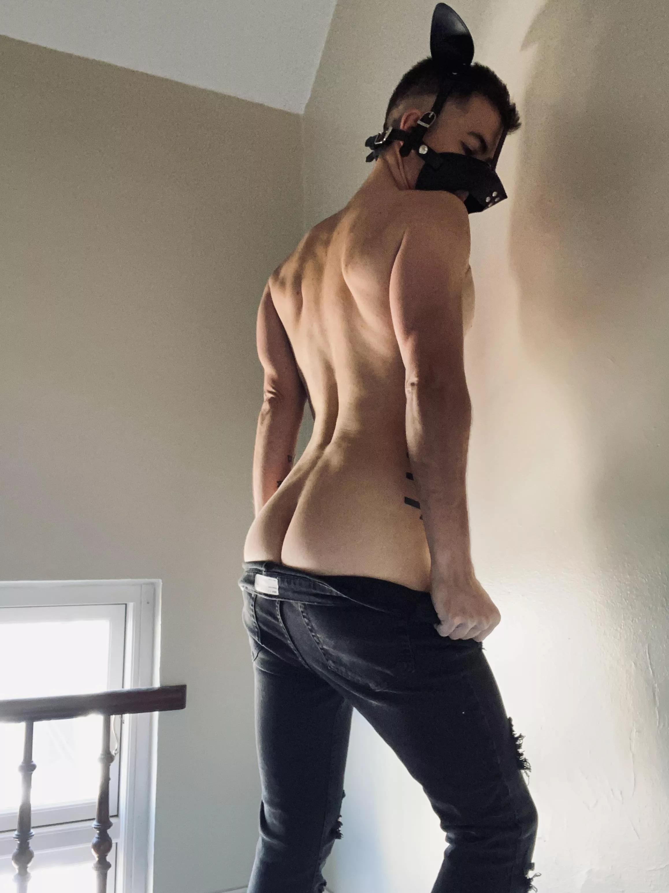 Gay boy posted by amazingdane85