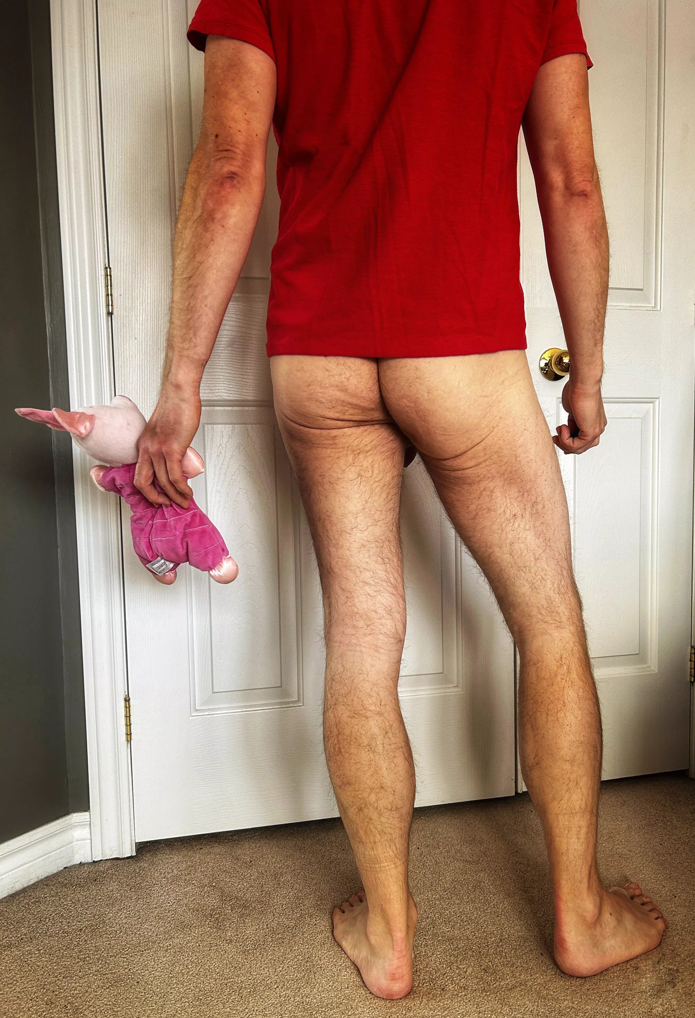 Happy WTP Day, from me and my little Piglet! posted by AskMeAboutTheLlama