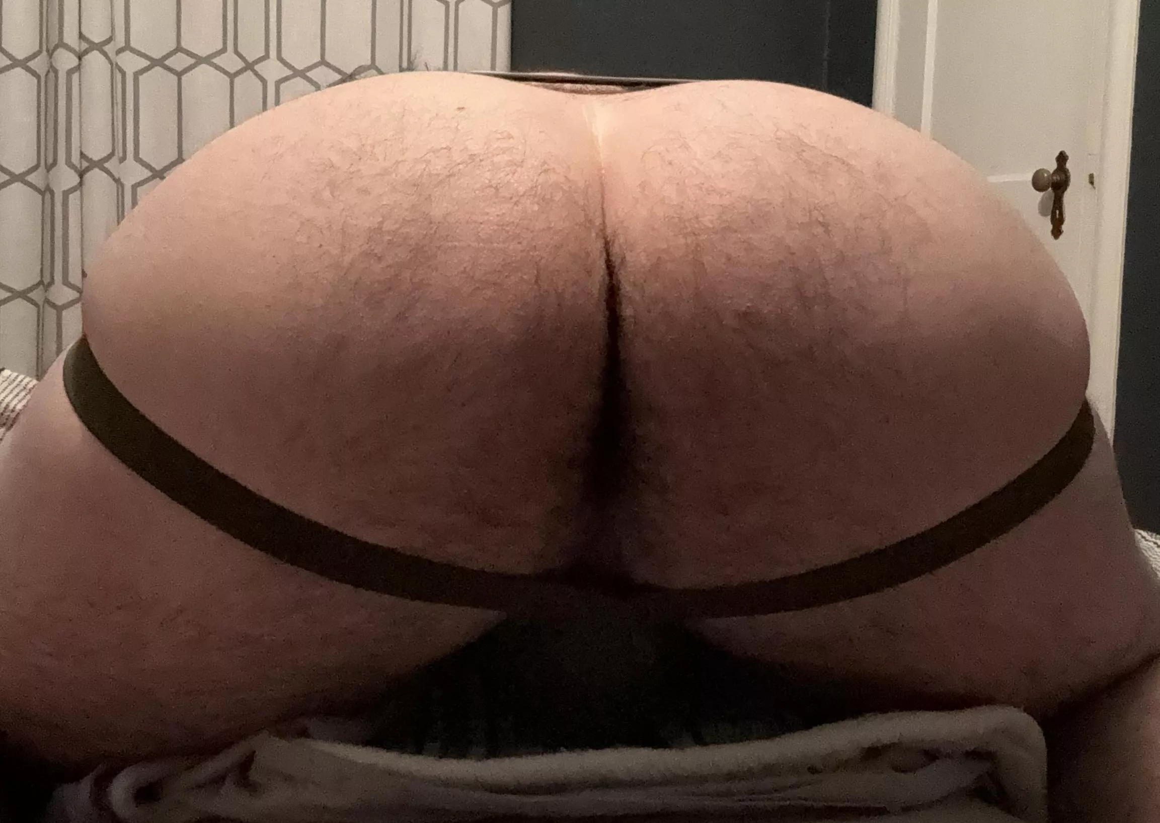 Hope you like Hairy Jockstrap Asses posted by MassiveTruck8365
