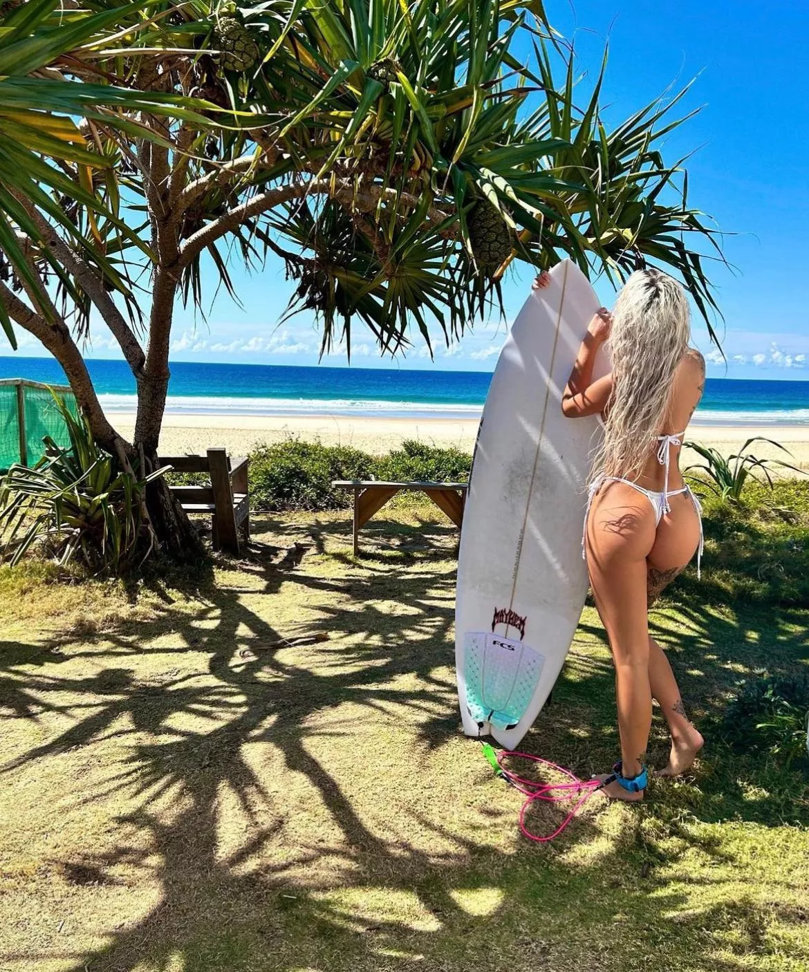 It would be a pleasure getting it from behind posted by MealyMetre