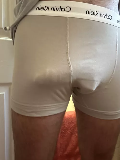 M31 by Terrible_Ant944