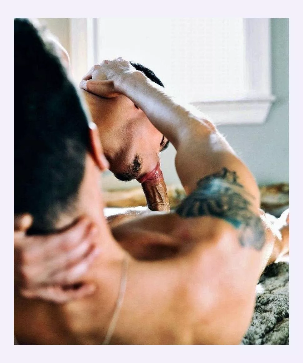 Making sure the BF has a good view of the BJ posted by BirdLegitimate8474