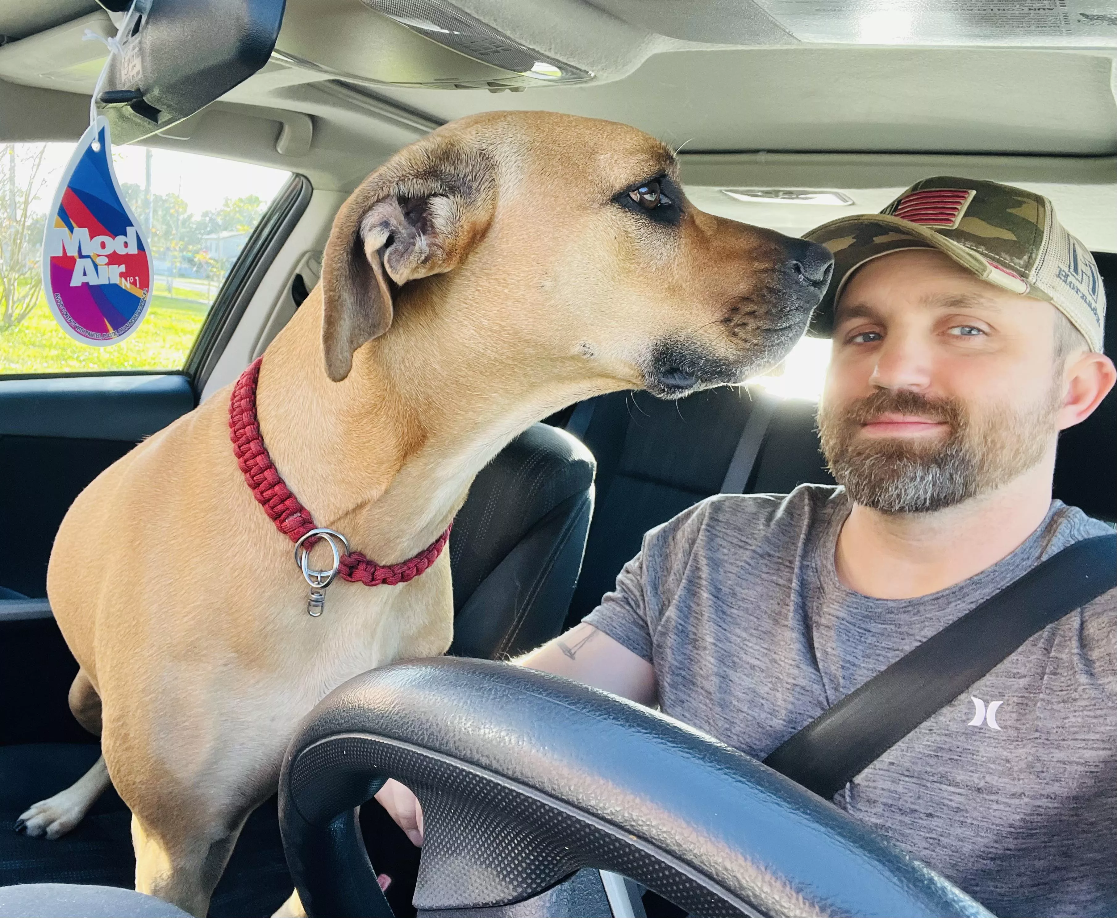 My other fur baby posted by Fluid-Business-9253