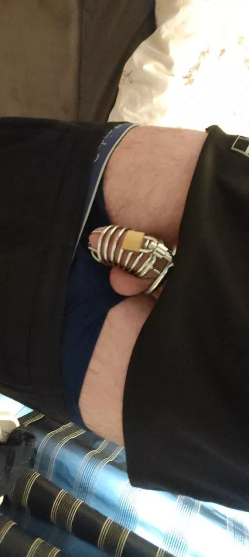 New to chastity by loser0246