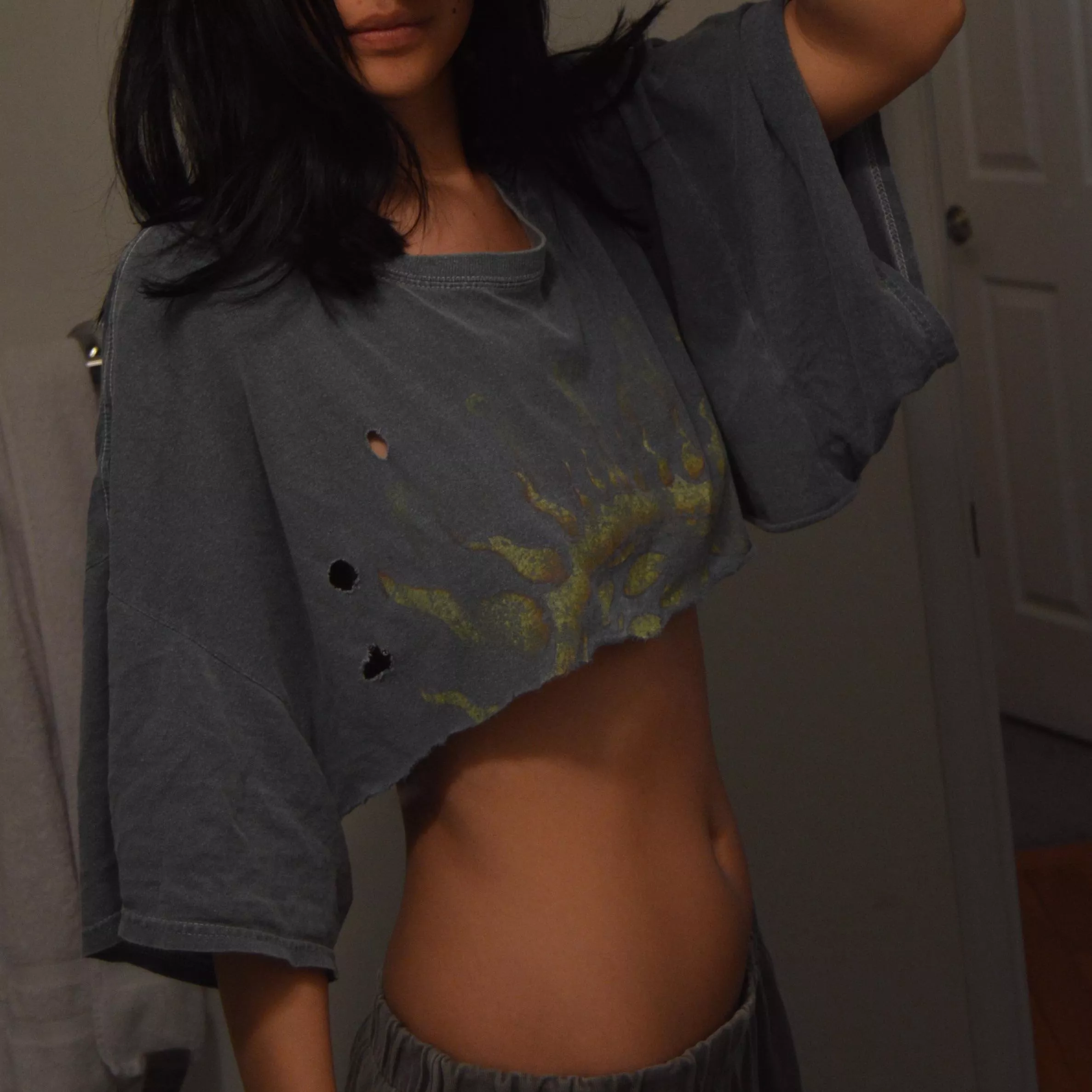 oversized super crop posted by peony256