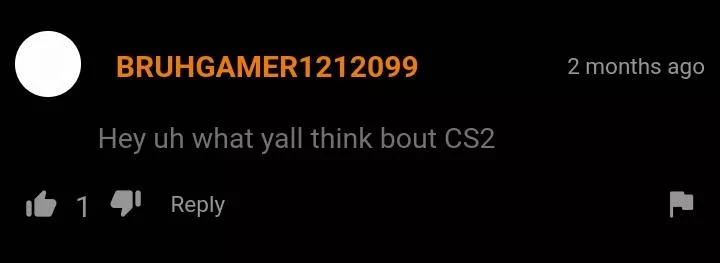 What y'all think of CS2? posted by LeviKKe