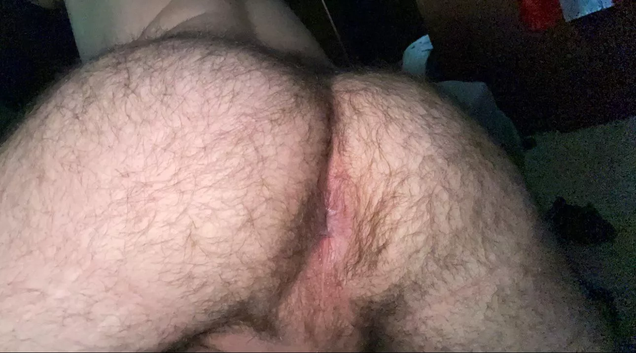 24 in shape discreet Lebanese with a big furry bubble butt. Horny af,😉 Kikk: AmirKebbr or DM me posted by amirkebbr