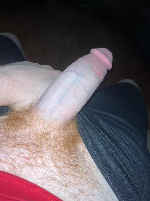 28M BWC sc e_money23699 by RedMan9521