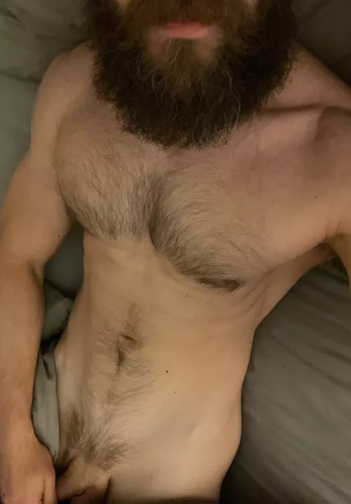 35 straight by XRP_Bull_