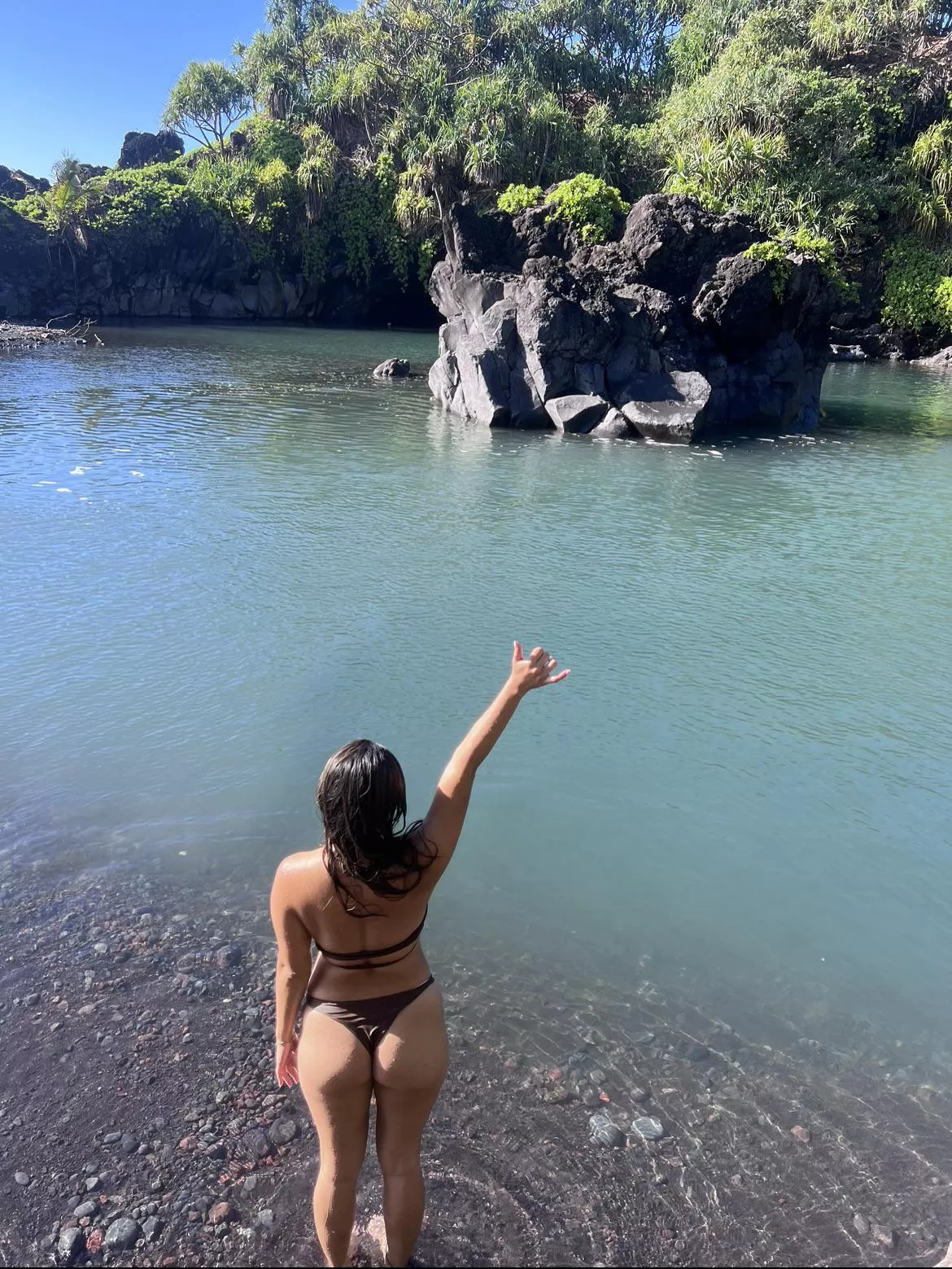 Another beautiful Aloha Friday! Several concerts this weekend and looking to pick up a BWC at each one 🫣 is it going to be you? 😜 posted by Hawaiian_Fun