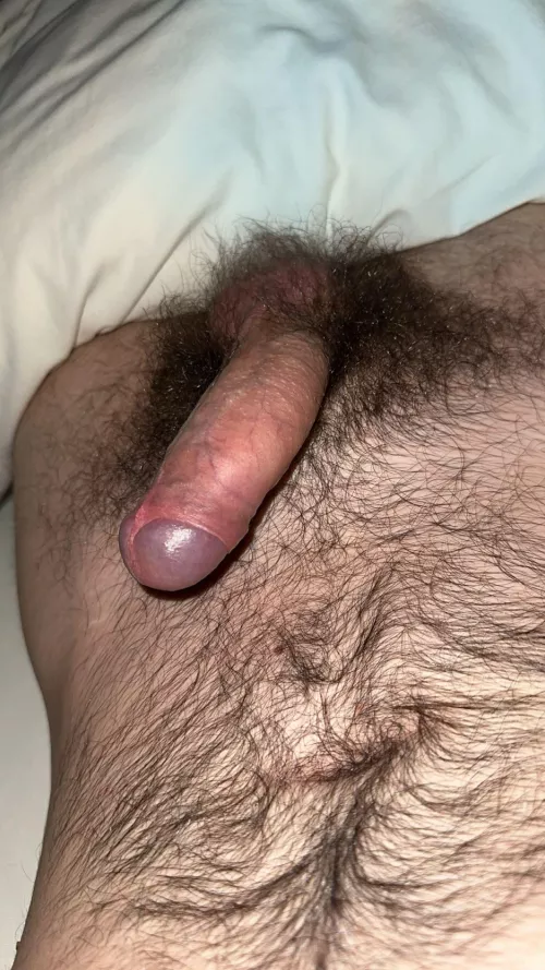 Does my cock count as insanely hairy? by snksox92