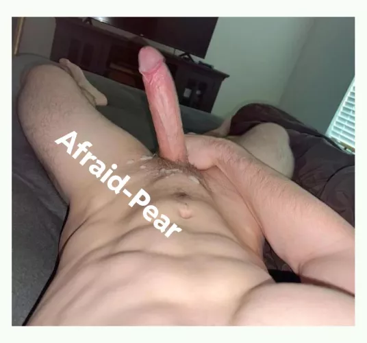 First post here, opinions? by Loud_Bonus7211